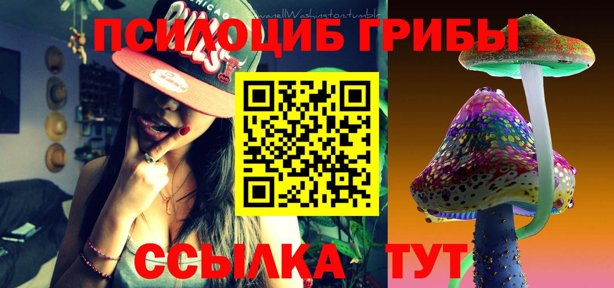 Галлюциногенные грибы Magic Shrooms Междуреченск
