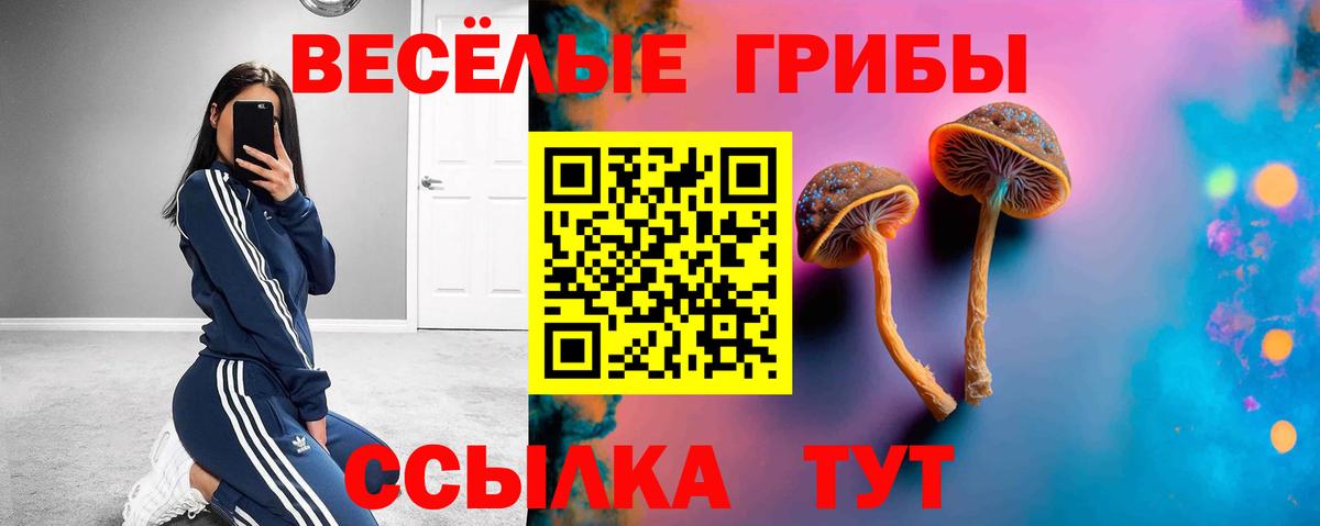 Галлюциногенные грибы ЛСД  Вход с VPN  Междуреченск 